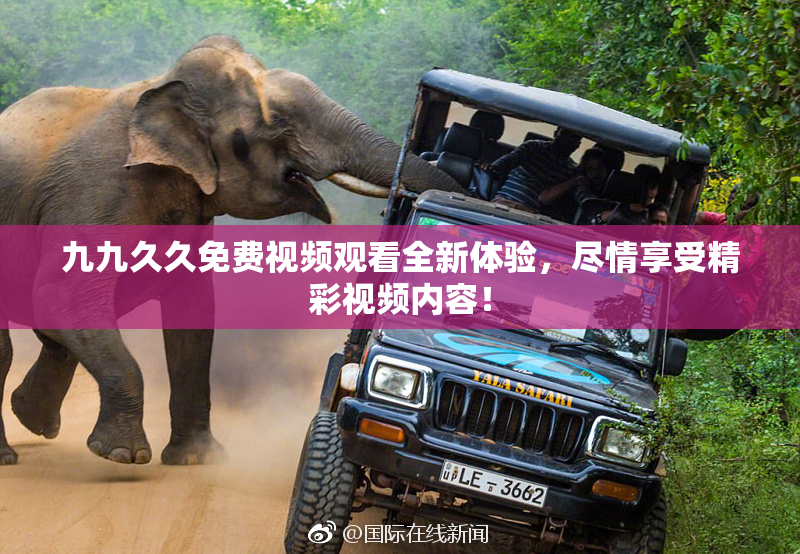 九九久久免费视频观看全新体验，尽情享受精彩视频内容！