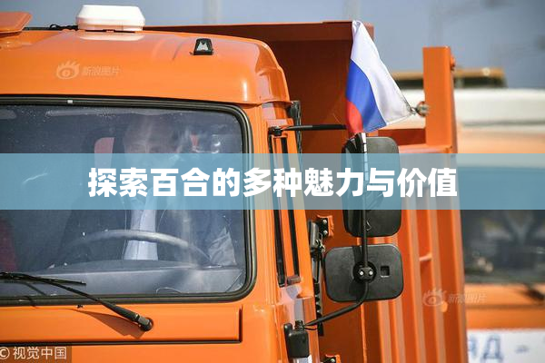 探索百合的多种魅力与价值