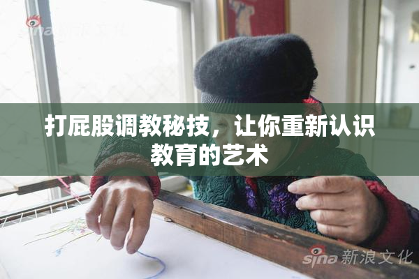 打屁股调教秘技，让你重新认识教育的艺术
