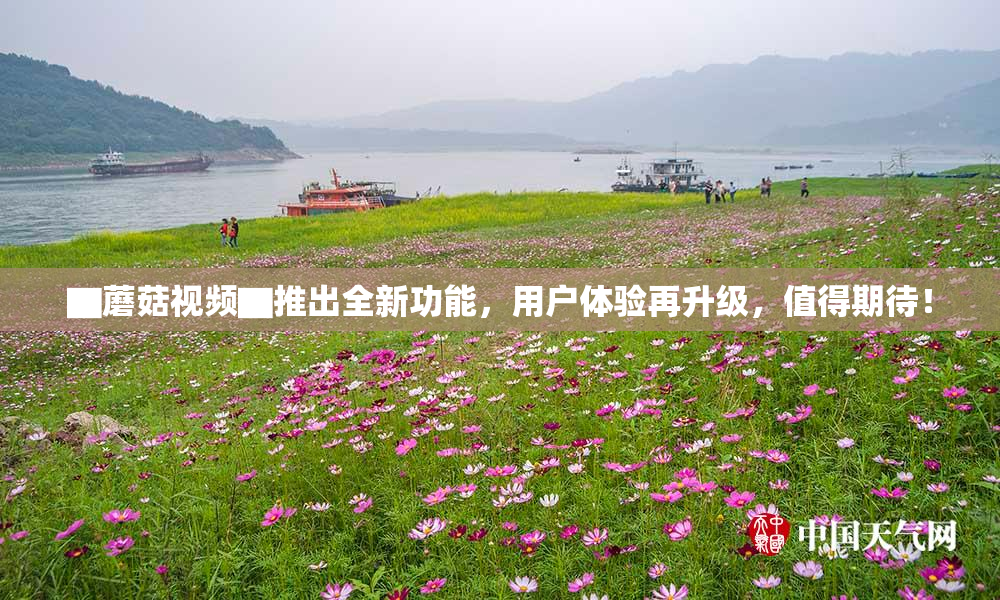 ▇蘑菇视频▇推出全新功能，用户体验再升级，值得期待！