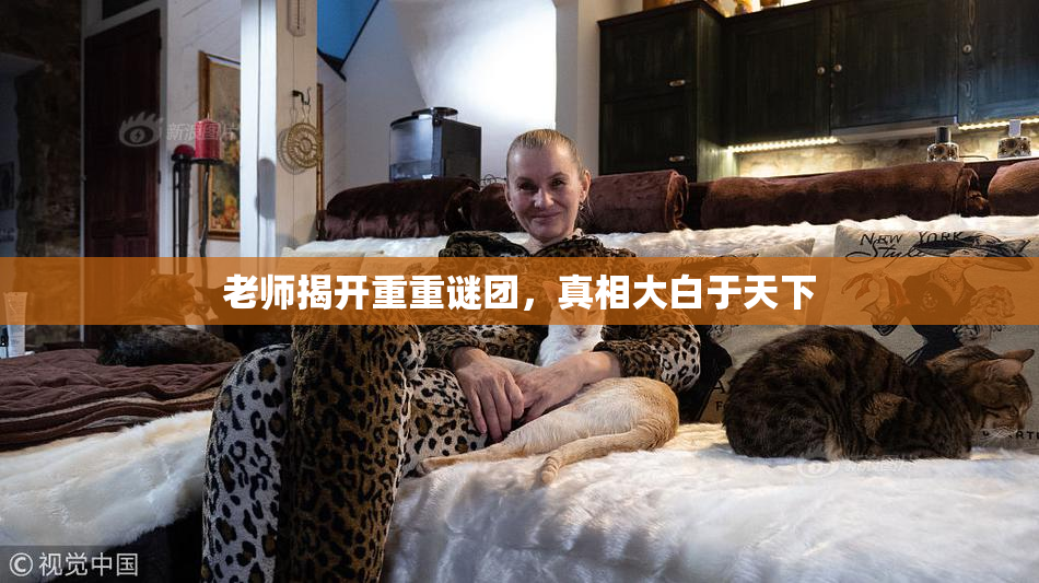 老师揭开重重谜团，真相大白于天下