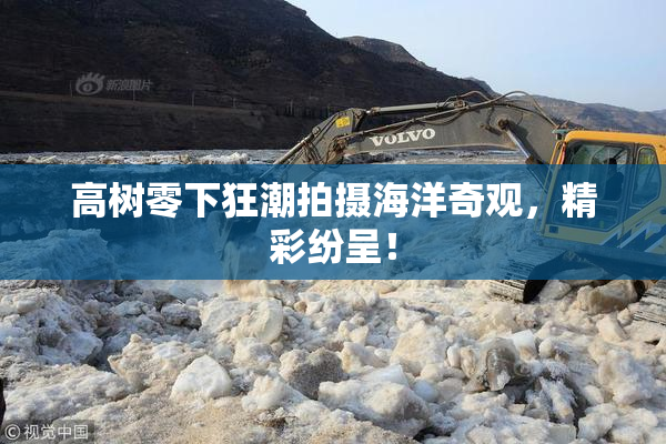 高树零下狂潮拍摄海洋奇观，精彩纷呈！