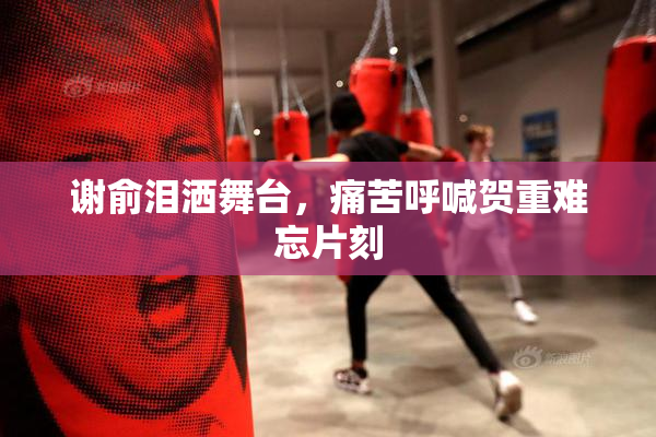 谢俞泪洒舞台，痛苦呼喊贺重难忘片刻