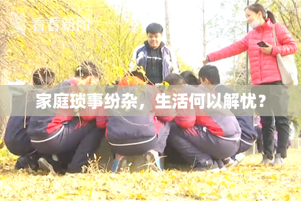家庭琐事纷杂，生活何以解忧？