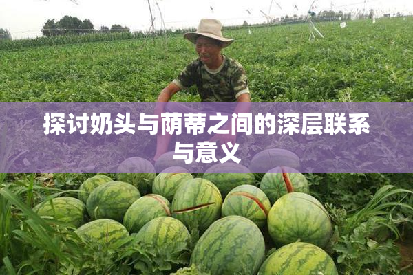 探讨奶头与荫蒂之间的深层联系与意义
