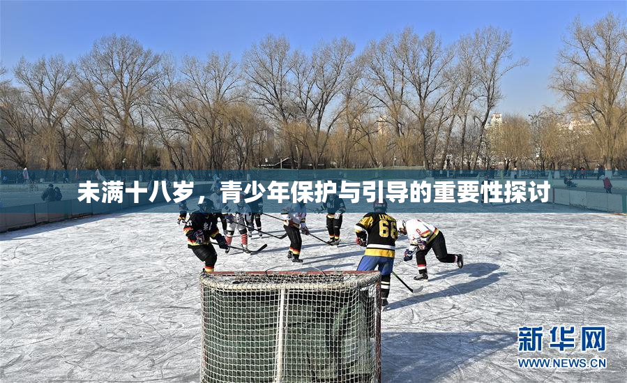 未满十八岁，青少年保护与引导的重要性探讨