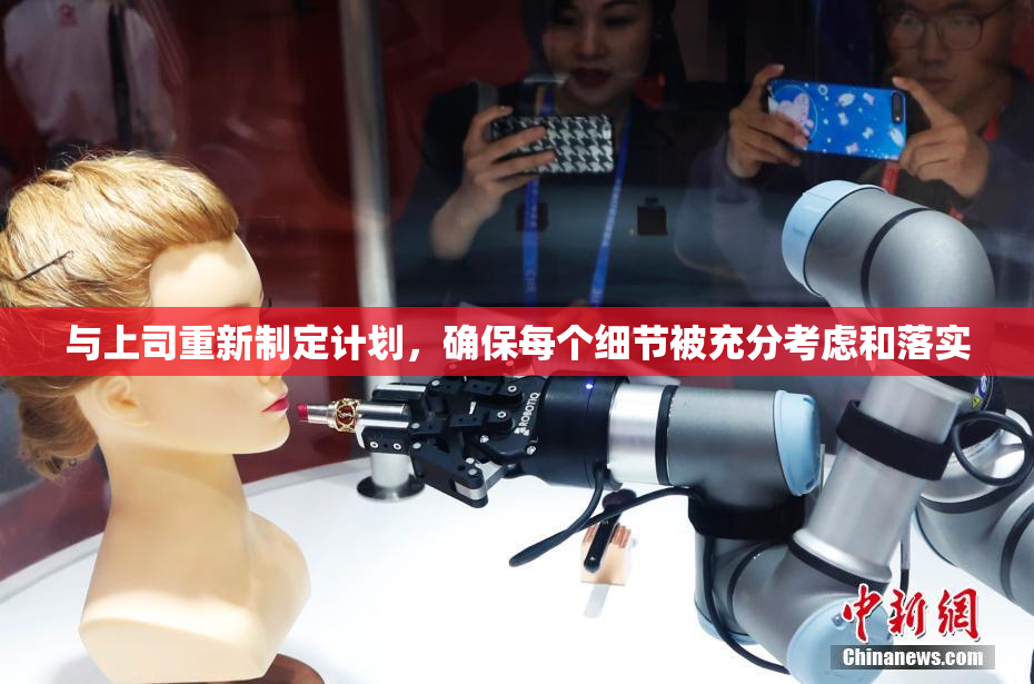 与上司重新制定计划，确保每个细节被充分考虑和落实