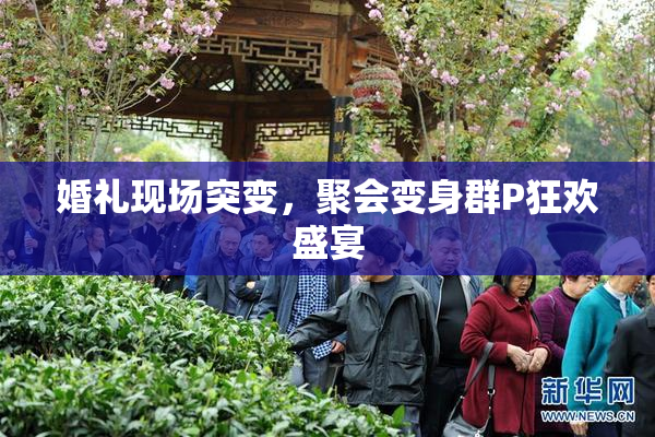 婚礼现场突变，聚会变身群P狂欢盛宴