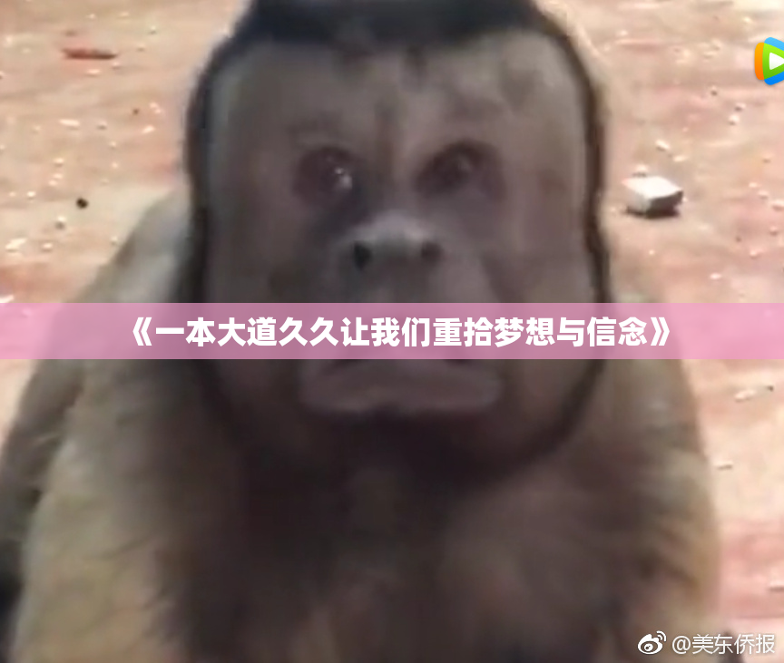 《一本大道久久让我们重拾梦想与信念》