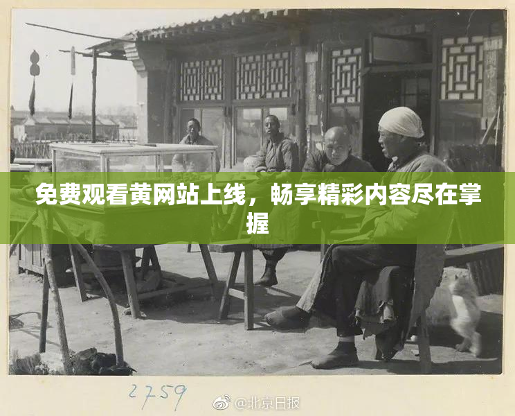 免费观看黄网站上线，畅享精彩内容尽在掌握