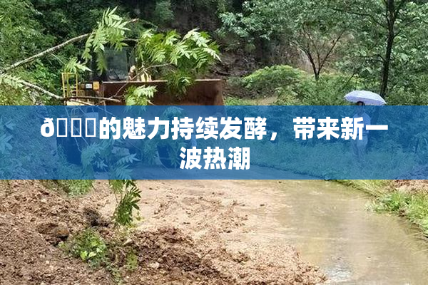 🈚的魅力持续发酵，带来新一波热潮