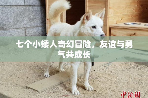 七个小矮人奇幻冒险，友谊与勇气共成长