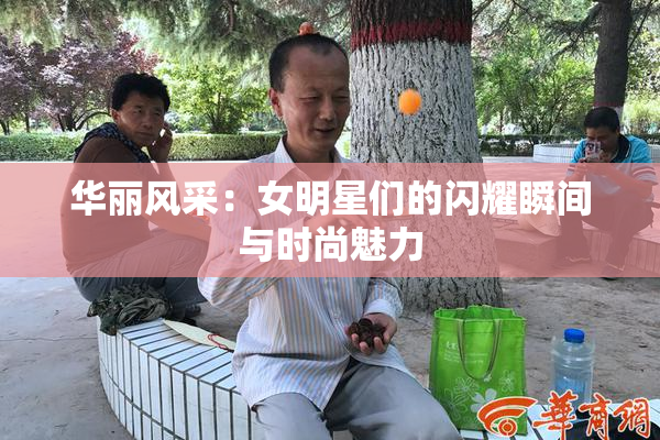 华丽风采：女明星们的闪耀瞬间与时尚魅力
