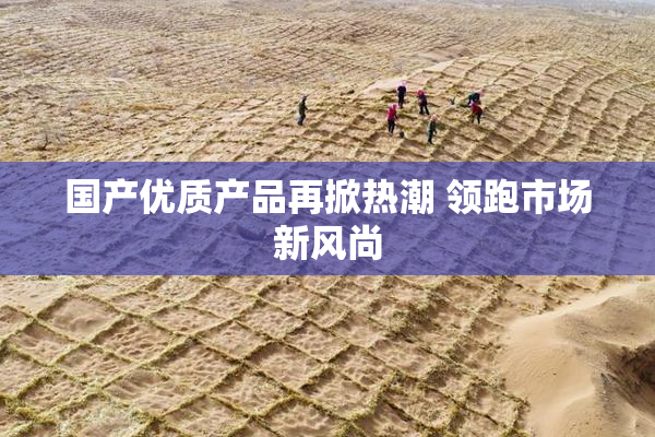 国产优质产品再掀热潮 领跑市场新风尚