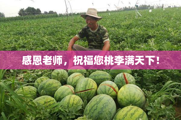 感恩老师，祝福您桃李满天下！