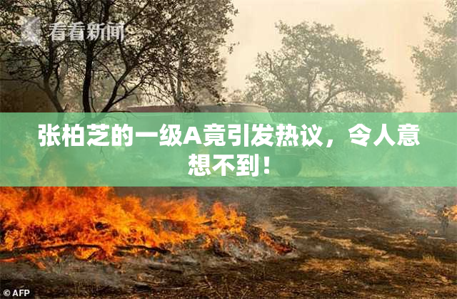 张柏芝的一级A竟引发热议，令人意想不到！