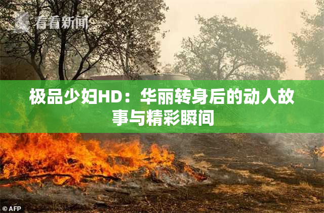 极品少妇HD：华丽转身后的动人故事与精彩瞬间