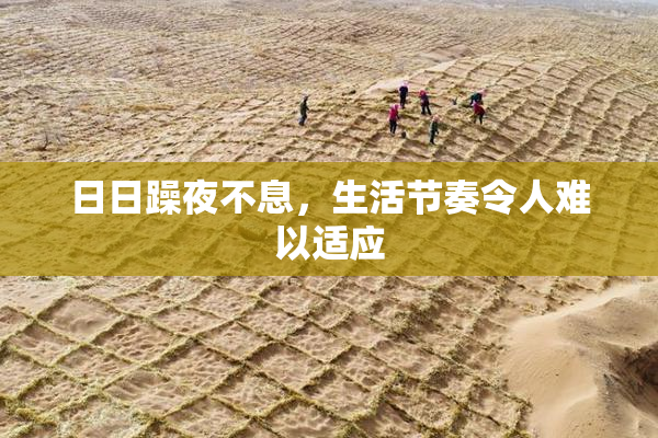 日日躁夜不息，生活节奏令人难以适应