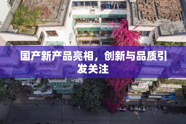 国产新产品亮相，创新与品质引发关注