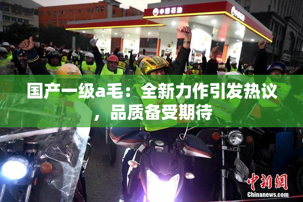 国产一级a毛：全新力作引发热议，品质备受期待