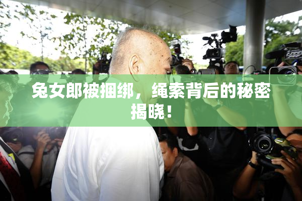 兔女郎被捆绑，绳索背后的秘密揭晓！