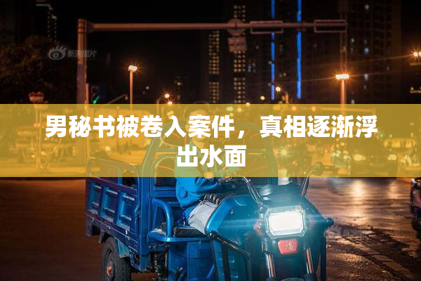 男秘书被卷入案件，真相逐渐浮出水面