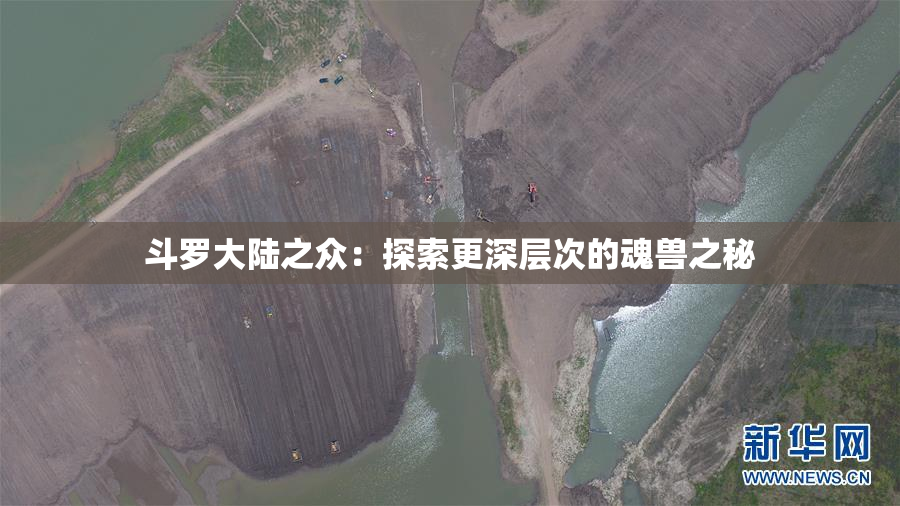 斗罗大陆之众：探索更深层次的魂兽之秘