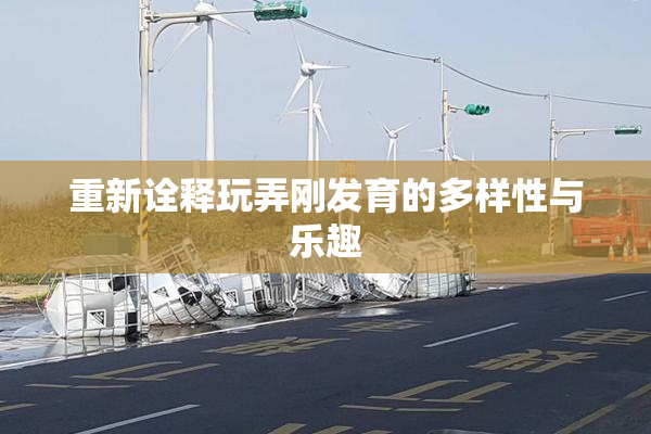 重新诠释玩弄刚发育的多样性与乐趣