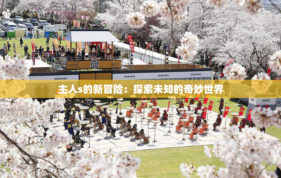 主人s的新冒险：探索未知的奇妙世界