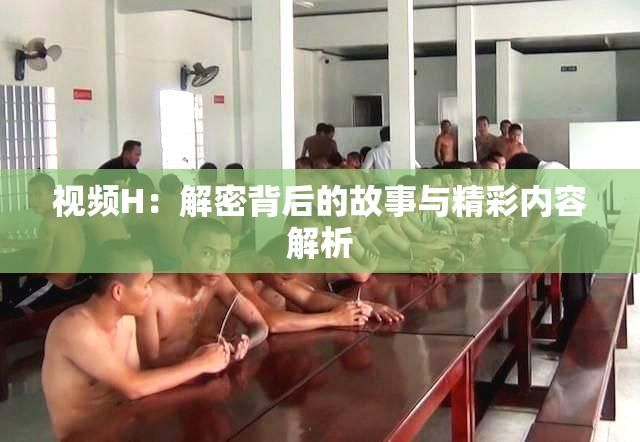 视频H：解密背后的故事与精彩内容解析