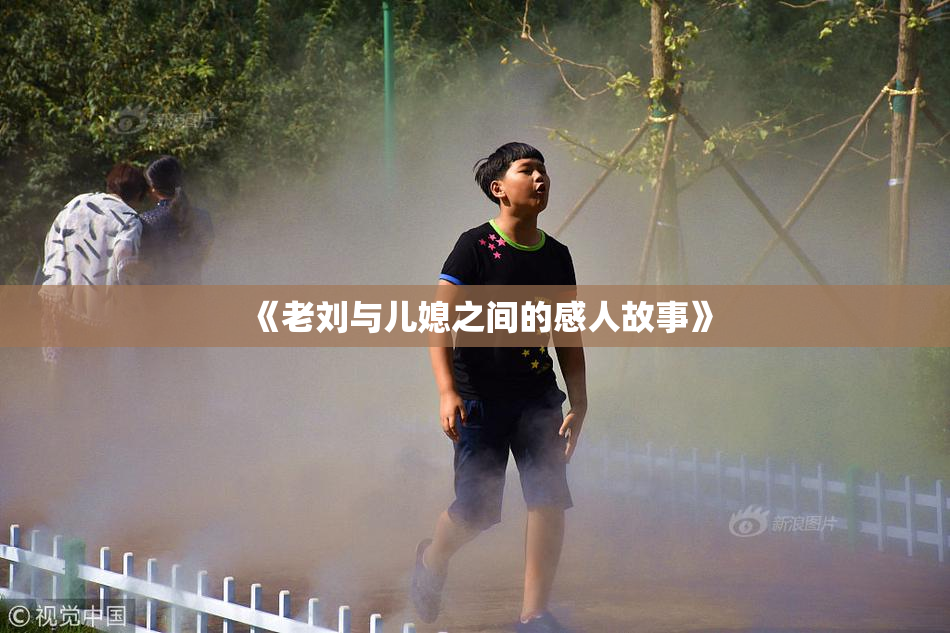 《老刘与儿媳之间的感人故事》