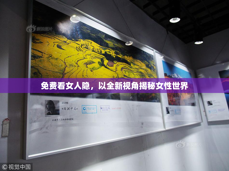 免费看女人隐，以全新视角揭秘女性世界
