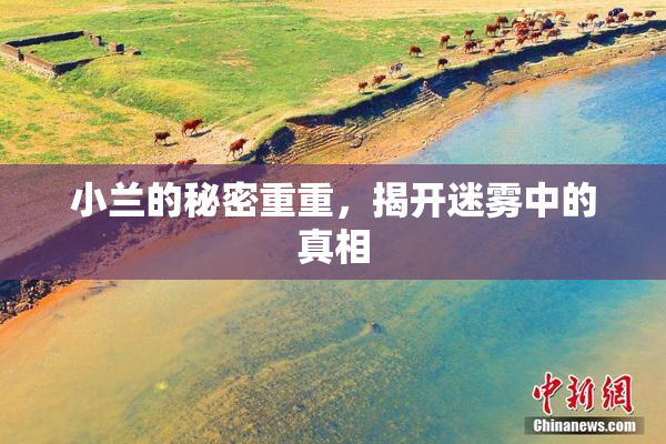 小兰的秘密重重，揭开迷雾中的真相