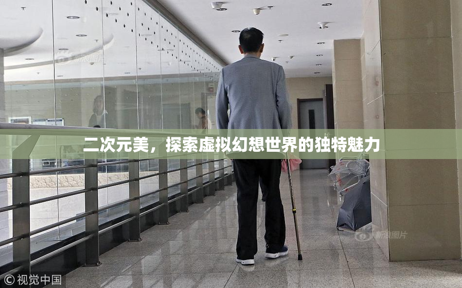 二次元美，探索虚拟幻想世界的独特魅力
