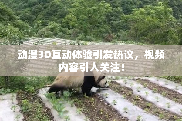 动漫3D互动体验引发热议，视频内容引人关注！