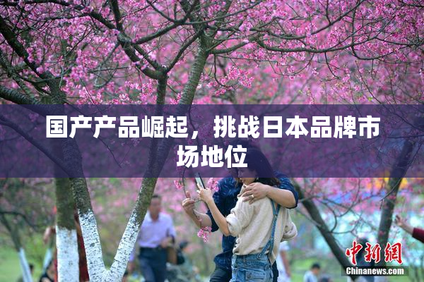 国产产品崛起，挑战日本品牌市场地位