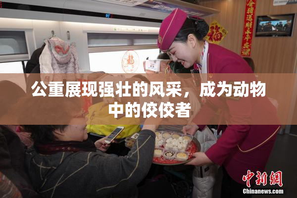 公重展现强壮的风采，成为动物中的佼佼者