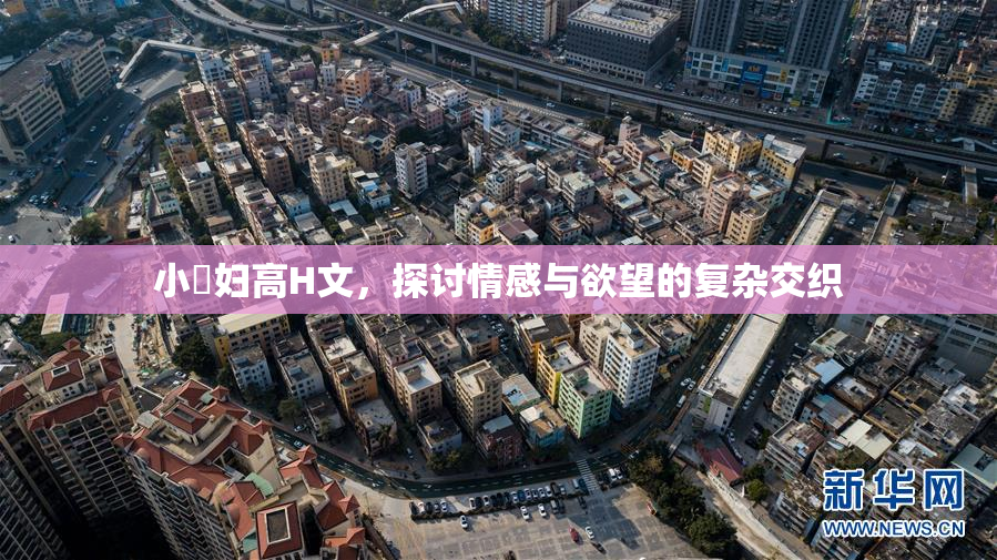 小婬妇高H文，探讨情感与欲望的复杂交织