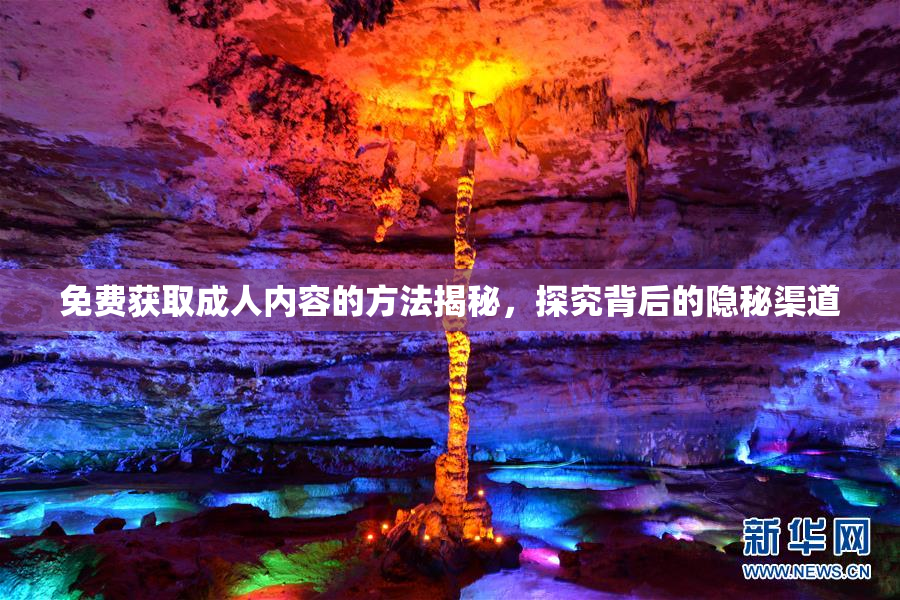 免费获取成人内容的方法揭秘，探究背后的隐秘渠道