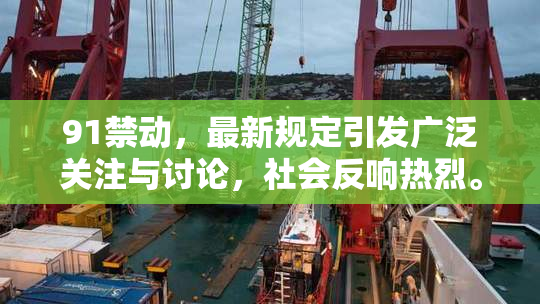 91禁动，最新规定引发广泛关注与讨论，社会反响热烈。