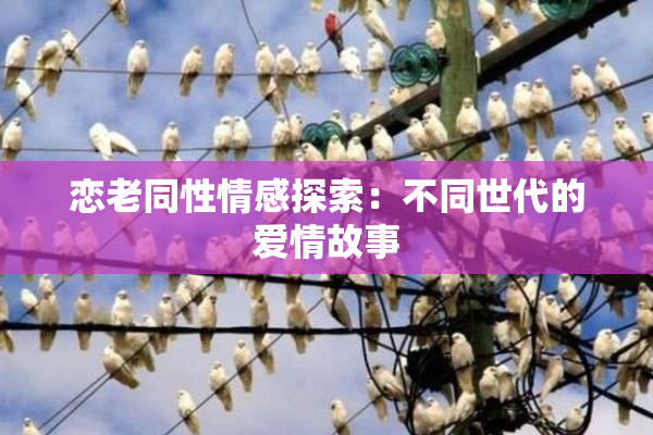 恋老同性情感探索：不同世代的爱情故事