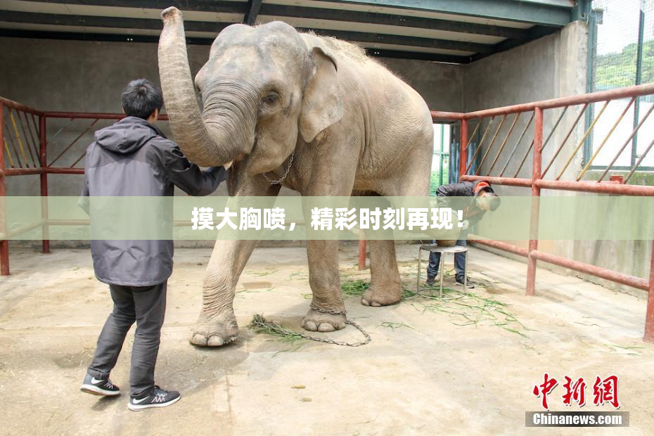 摸大胸喷，精彩时刻再现！