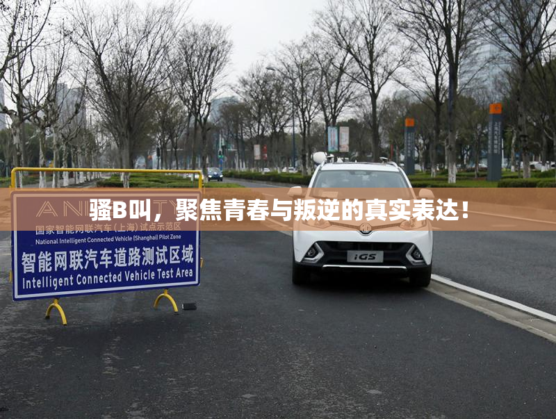 骚B叫，聚焦青春与叛逆的真实表达！
