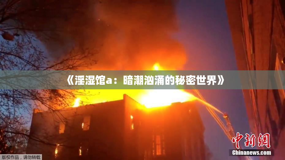 《淫湿馆a：暗潮汹涌的秘密世界》