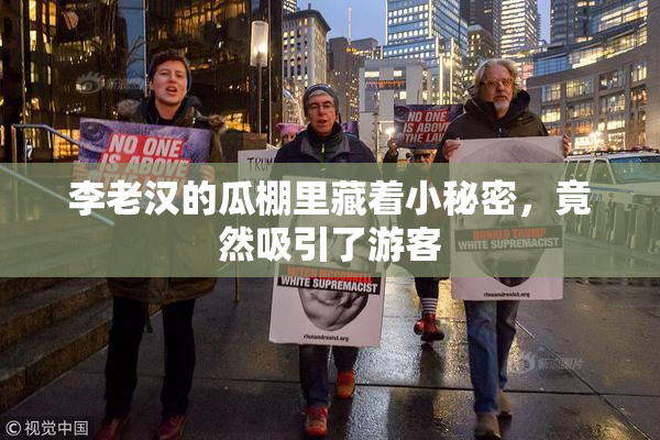 李老汉的瓜棚里藏着小秘密，竟然吸引了游客