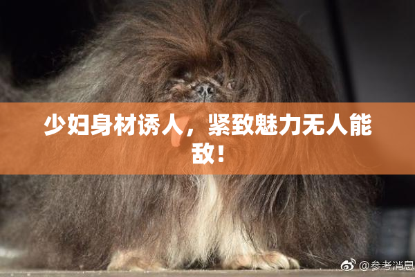 少妇身材诱人，紧致魅力无人能敌！