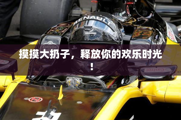 摸摸大扔子，释放你的欢乐时光！