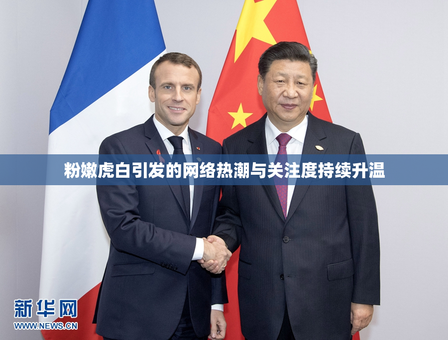 粉嫩虎白引发的网络热潮与关注度持续升温