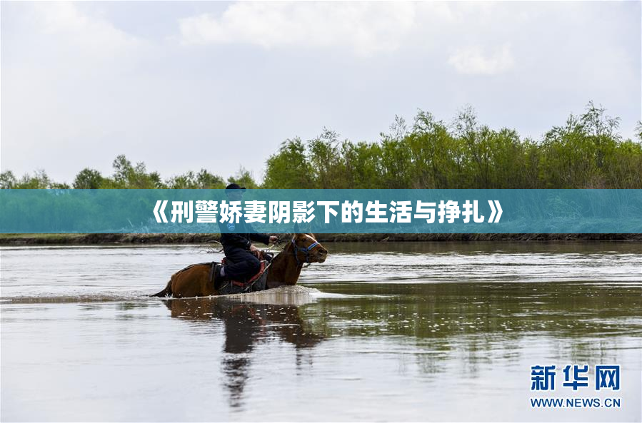 《刑警娇妻阴影下的生活与挣扎》