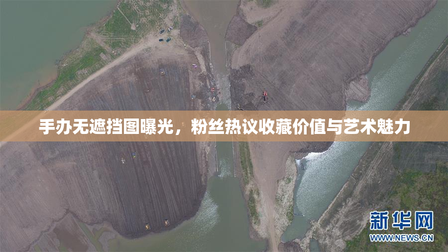 手办无遮挡图曝光，粉丝热议收藏价值与艺术魅力